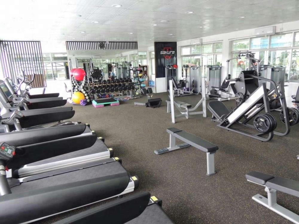 Guangdong selectorized equipment gym pectoral fly machine/gym sports exercise equipment/crossfit exe