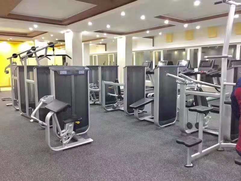 Guangdong selectorized equipment gym pectoral fly machine/gym sports exercise equipment/crossfit exe