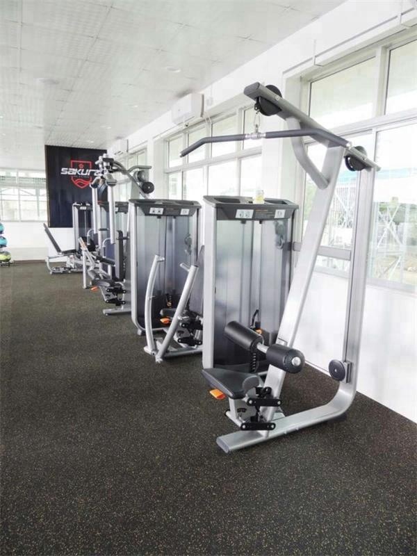 Guangdong selectorized equipment gym pectoral fly machine/gym sports exercise equipment/crossfit exe
