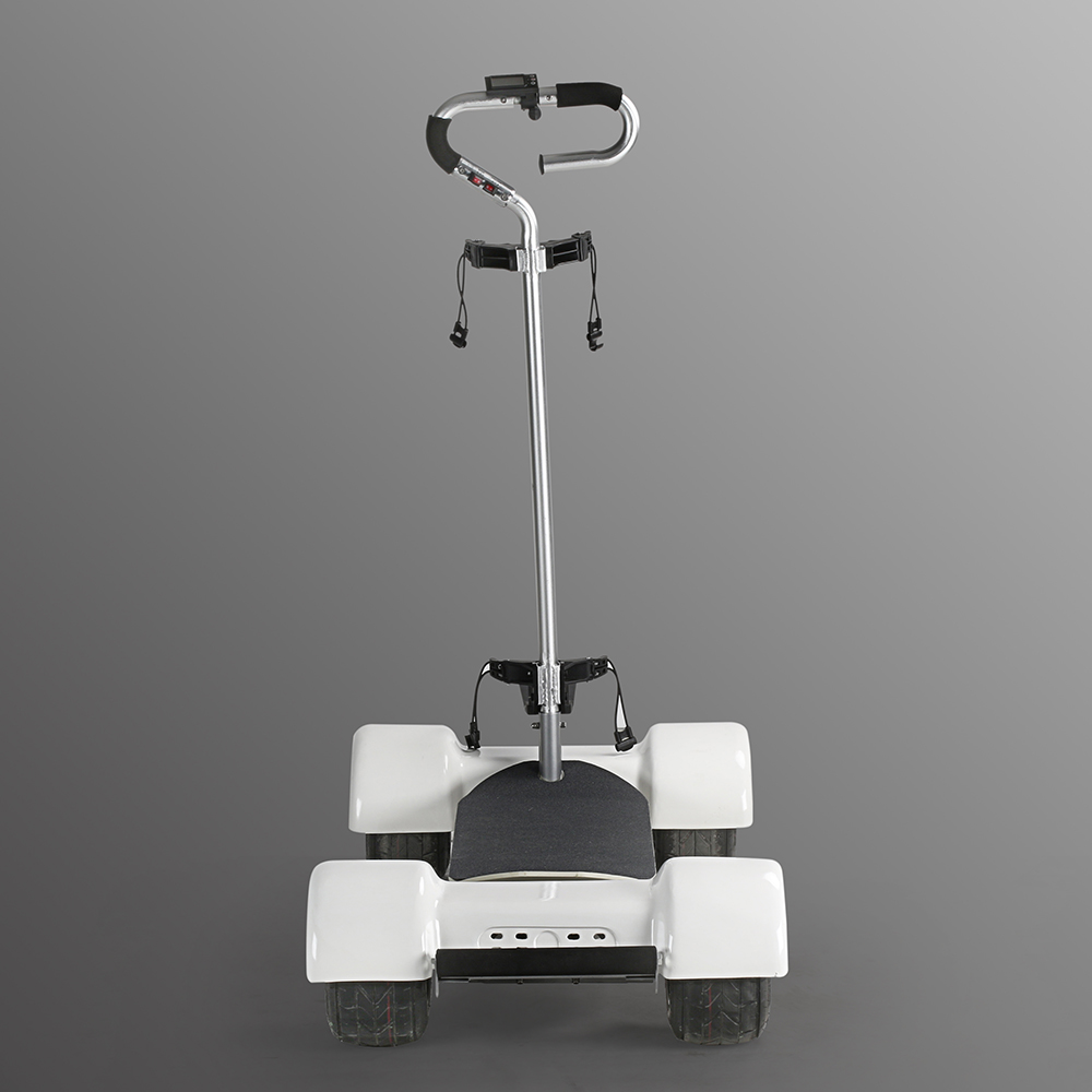 Magnificent EcoRider E7-2 2000W Golf Electric Skateboard Scooter for Adults Sports Cart 18.2Ah 4 Whe