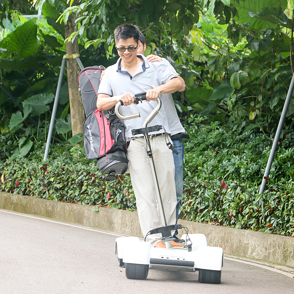 Magnificent EcoRider E7-2 2000W Golf Electric Skateboard Scooter for Adults Sports Cart 18.2Ah 4 Whe