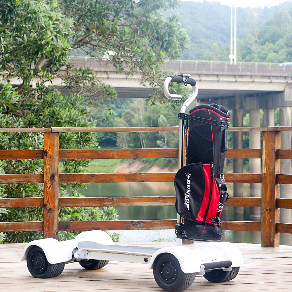 Magnificent EcoRider E7-2 2000W Golf Electric Skateboard Scooter for Adults Sports Cart 18.2Ah 4 Whe