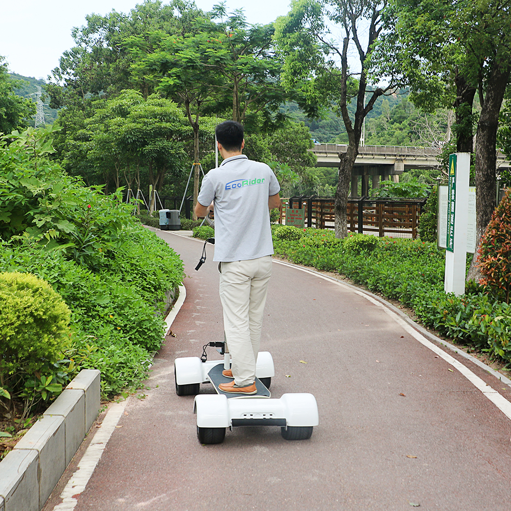 Magnificent EcoRider E7-2 2000W Golf Electric Skateboard Scooter for Adults Sports Cart 18.2Ah 4 Whe