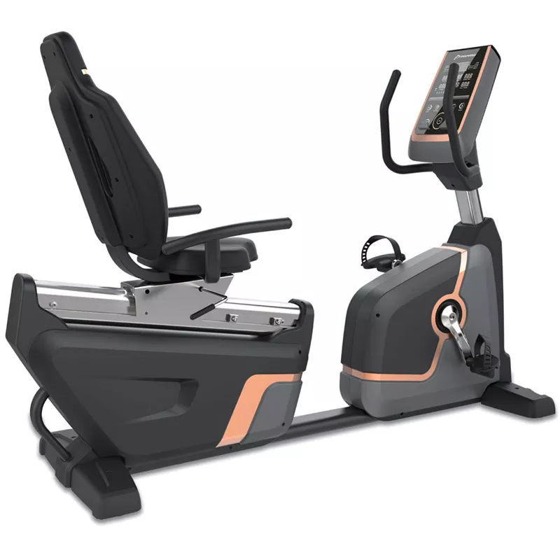 Cardio Magnetic Exercise Bike Gym Indoor Cycling Sports Static Bicycle Exercise Spinning Bike Seat A