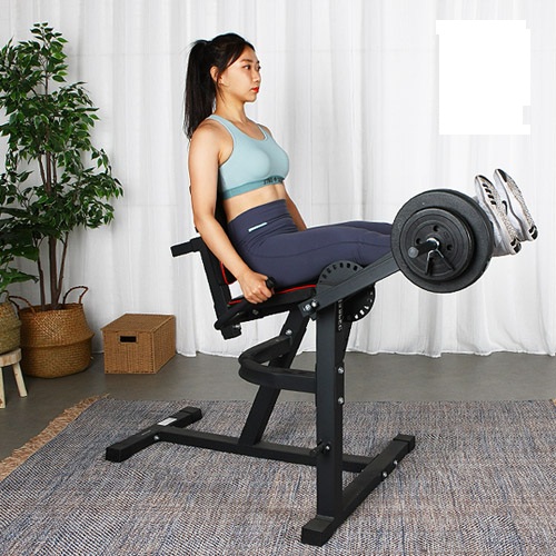 Functional Trainer Sports Exercise Machine Fitness Gym Equipment Leg Extension