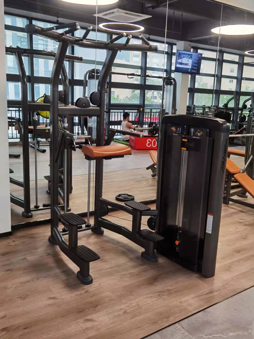 Other trending indoor sports fitness products and entertainment biceps curl machine