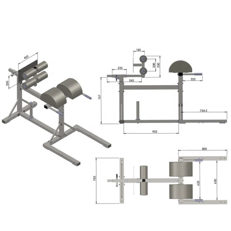 2021 Commercial Sports Exercise Machine Gym Fitness Equipment Unisex Body Building Glute Ham Raise M