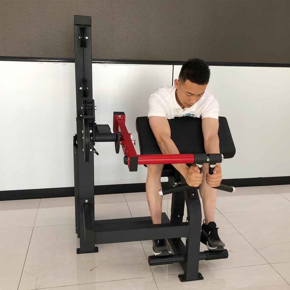 GC-5086 Body Building Biceps & Triceps Machine/Gym Equipment