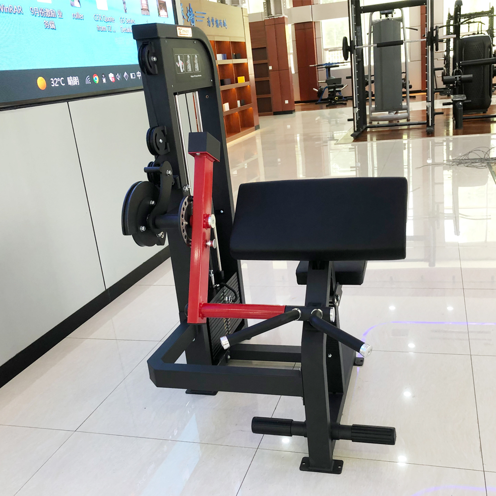 GC-5086 Body Building Biceps & Triceps Machine/Gym Equipment