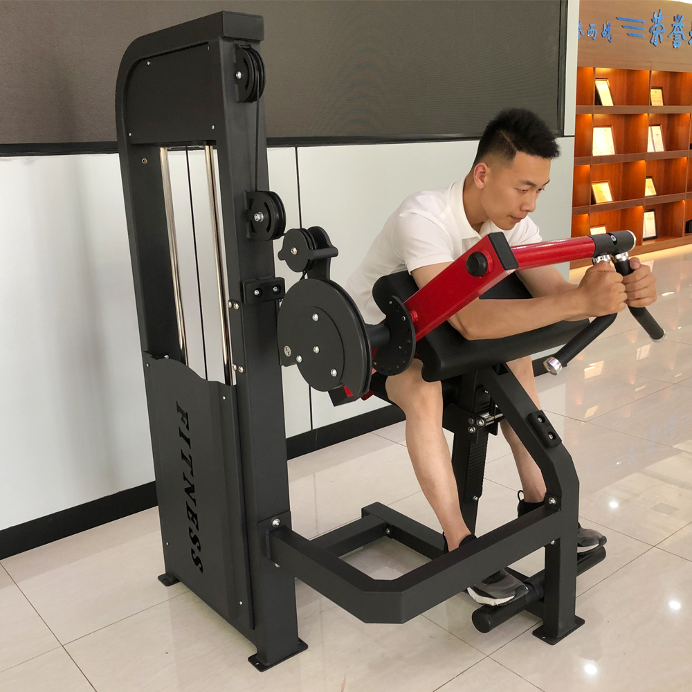 GC-5086 Body Building Biceps & Triceps Machine/Gym Equipment