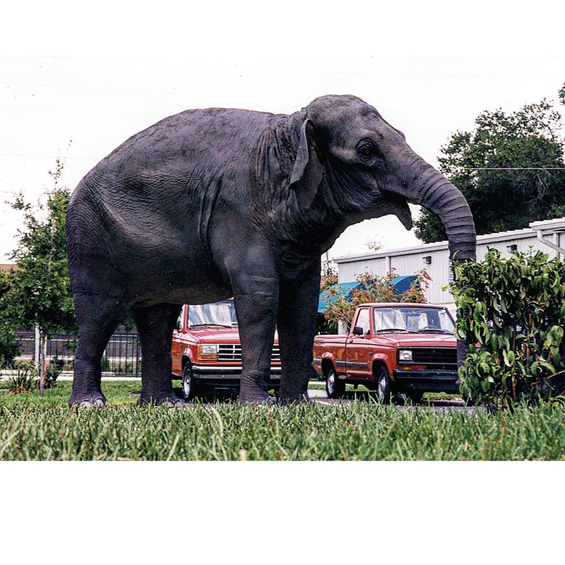 Amusement park realistic animal statue animatronic dinosaur animatronic model in sports