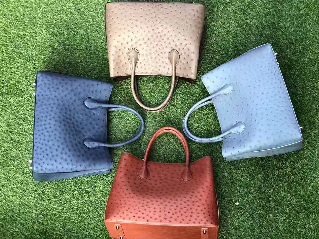 2021 China Fashion OEM handbag high quality women Bag Ostrich leather bag ladies