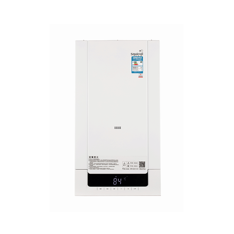 Manufacturer supply home accessories energy-efficient heating system delicate appearance gas boiler 