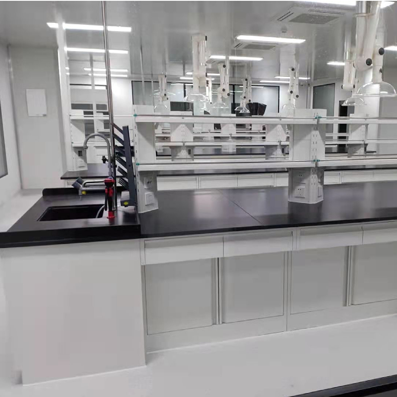 Customized Laboratory Workbench Laboratory Equipment Lab Fume Hood Steel Storage Cabinet Wholesale