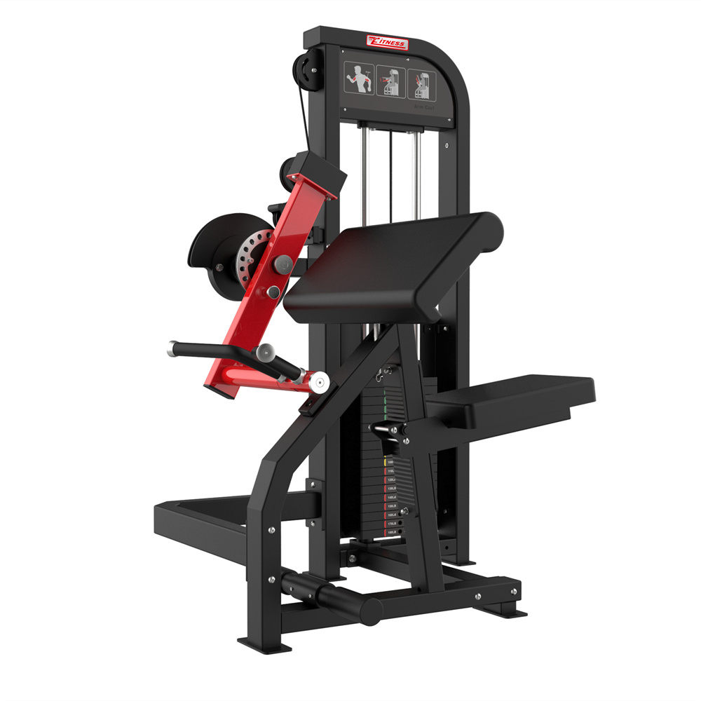 GC-5086 Body Building Biceps & Triceps Machine/Gym Equipment