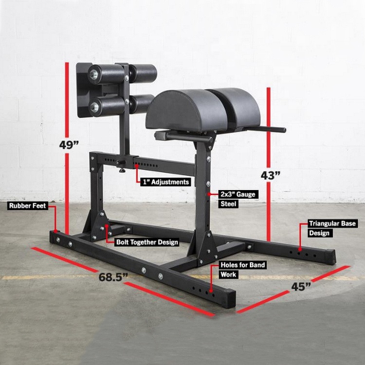2021 Commercial Sports Exercise Machine Gym Fitness Equipment Unisex Body Building Glute Ham Raise M