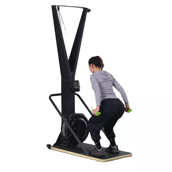 Commercial and Home gym fitness equipment buy online windbreaker Air ski machine