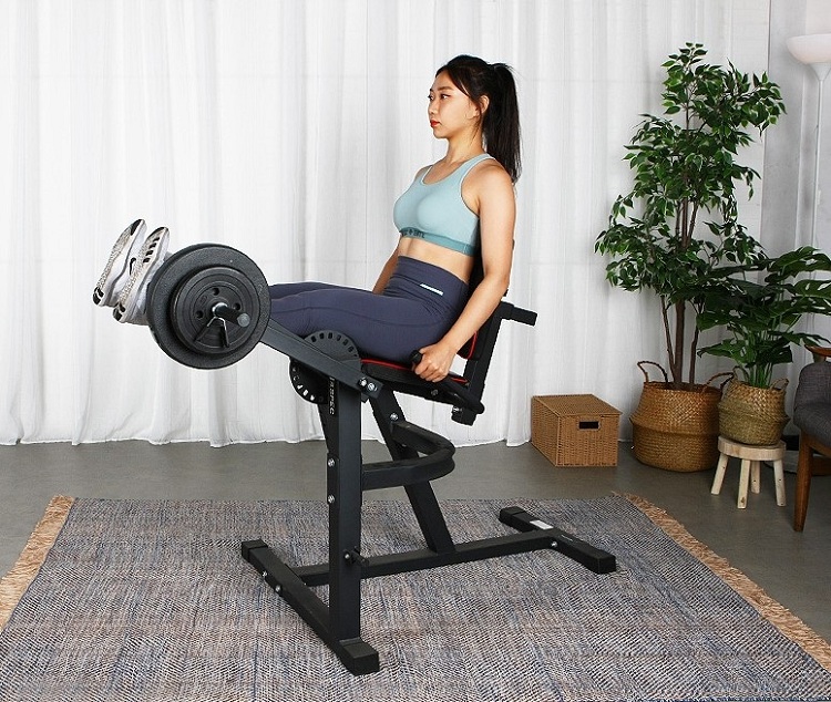 Functional Trainer Sports Exercise Machine Fitness Gym Equipment Leg Extension