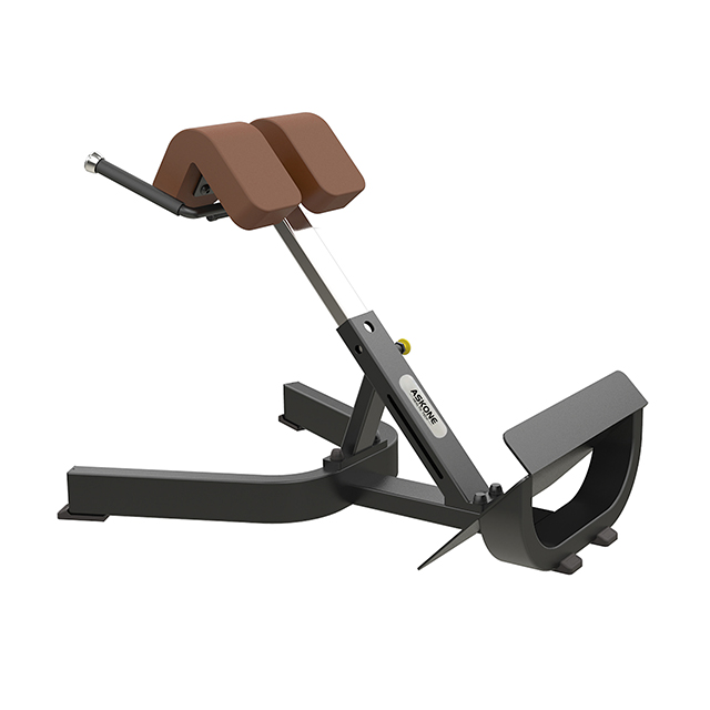 Manufacturers Provide Gym Sports Equipment Back Extensions Exercise Bench
