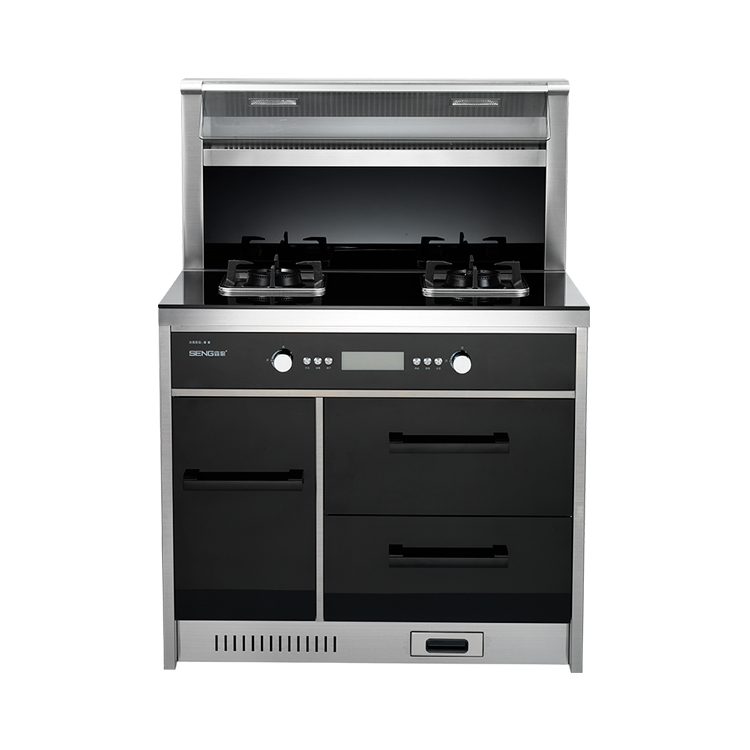 New Integrated cooker combine free standing cooker