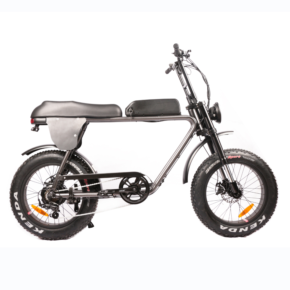 20'' 1000W BIG POWER Fat Tire Beach Snow Electric 