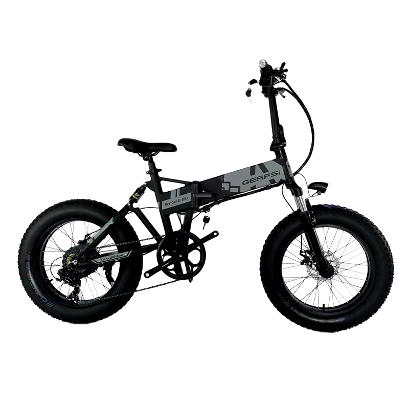 DISCOUNT OF 2021OEM factory High Power fat tire mo