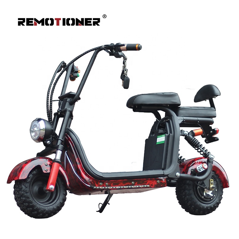 Long Range two fat wheels Electric Motorcycle, powerful 1000w 48v motor changeable battery CITYCOCO 