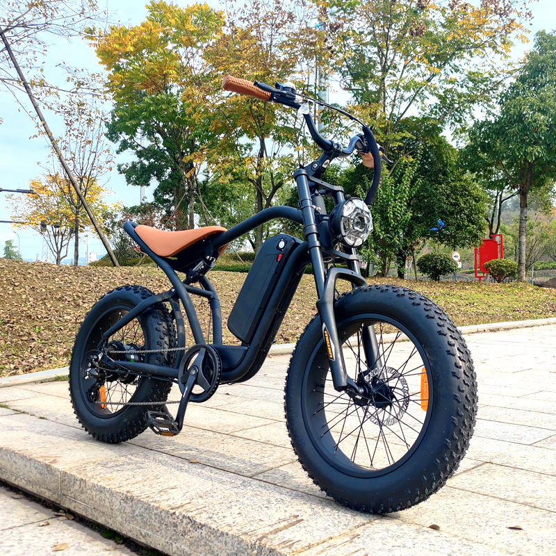 7-speed electric mountain bike frame 500 / 750W 48V fat tire electric bicycle other eBike outdoor sp