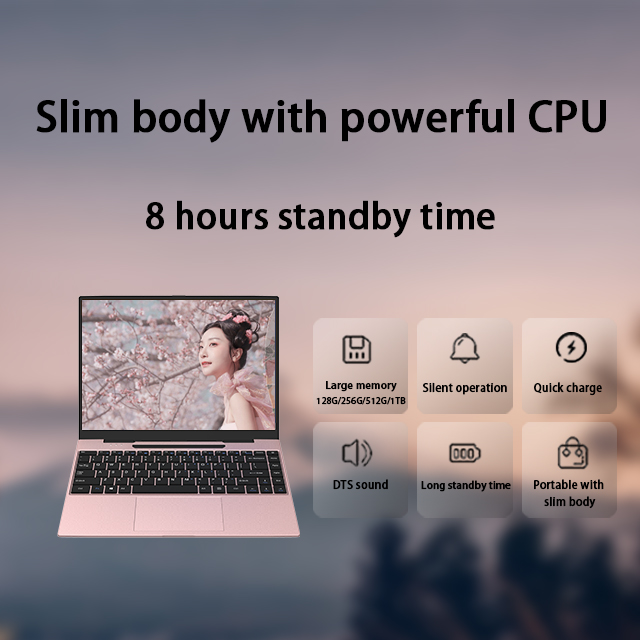 Laptop Computer PC Intel Core I3 I5 I7 Computers Metallic Case Laptops and Desktops Notebook Hot-Plu