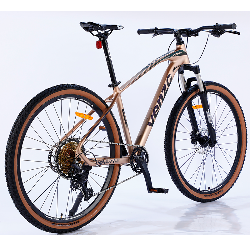Professional Manufacture Cheap Mountain Bike Dual 