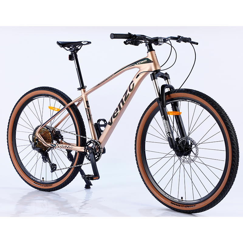 Professional Manufacture Cheap Mountain Bike Dual 